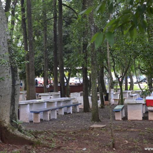 Bosque com Churrasqueiras — foto 2