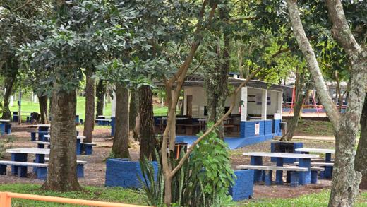 Bosque com Churrasqueiras — foto 1